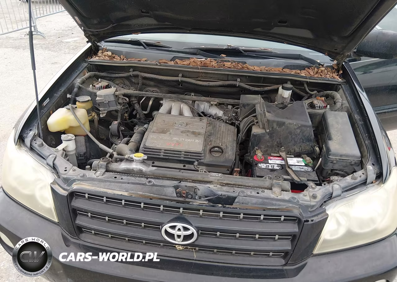 2003 Toyota Highlander Limited V6 VIN:JTEGF21A330074397 - 10