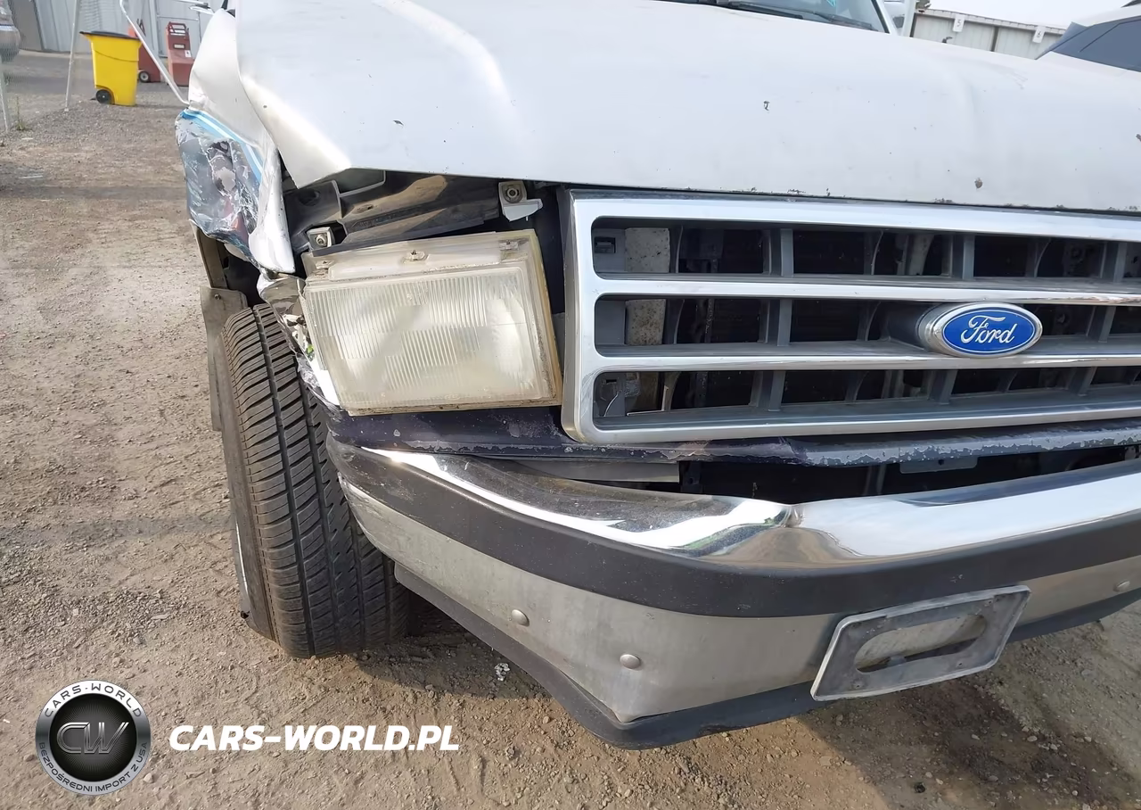 1991 Ford F150 VIN:1FTDF15Y8MPB22302 - 19