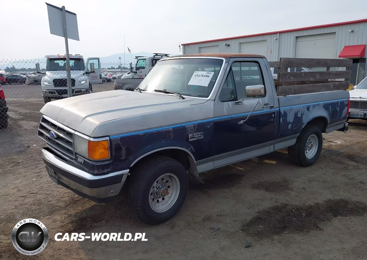 1991 Ford F150 VIN:1FTDF15Y8MPB22302 - 2