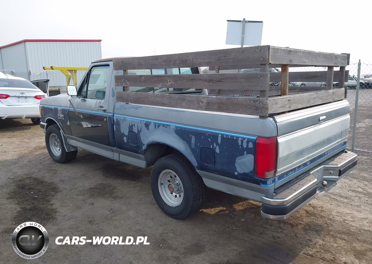 1991 Ford F150 VIN:1FTDF15Y8MPB22302 - 3