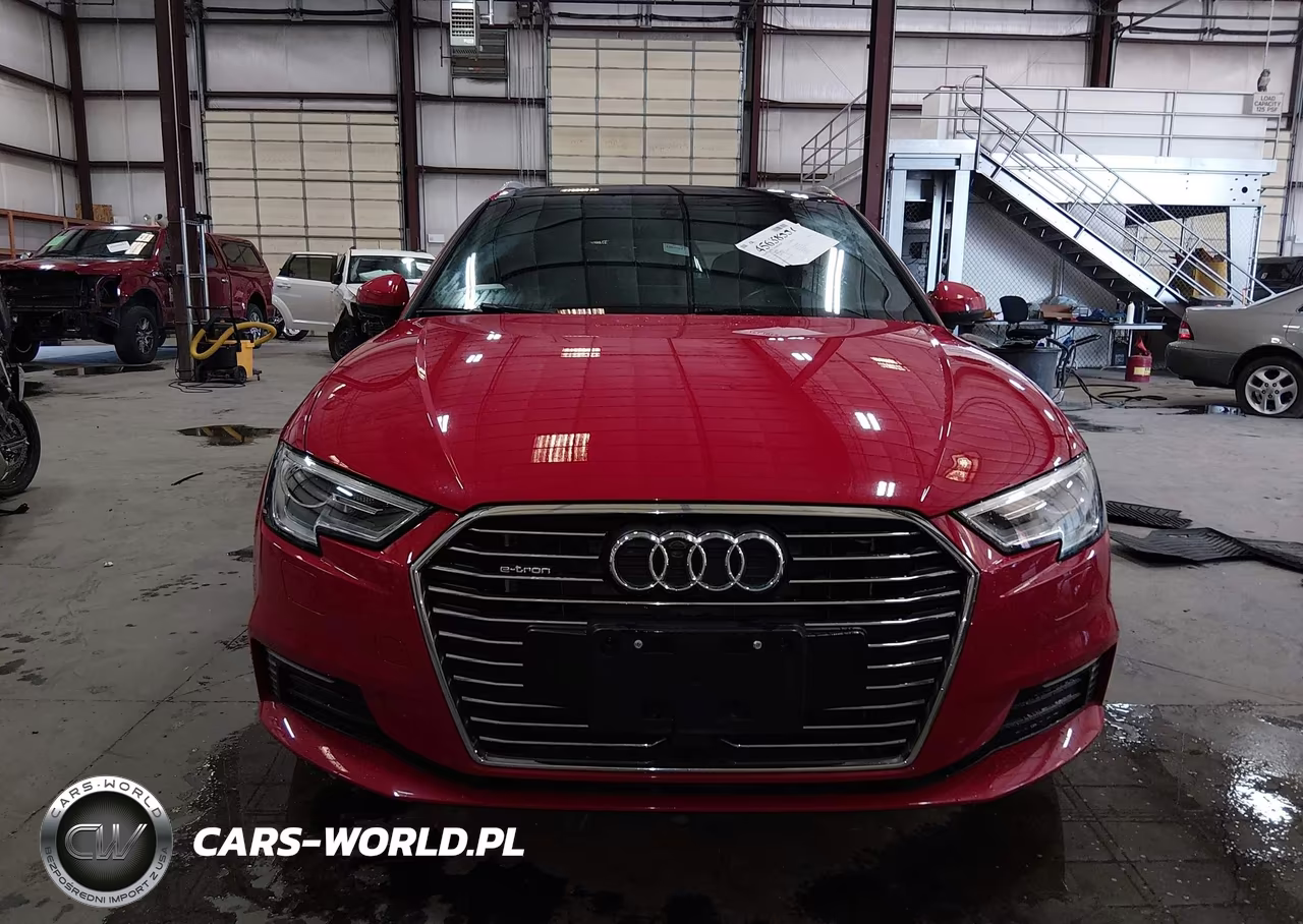2018 Audi A3 E-Tron 1.4T Premium-1.4T Tech Premium VIN:WAUUPBFF9JA067824 - 12