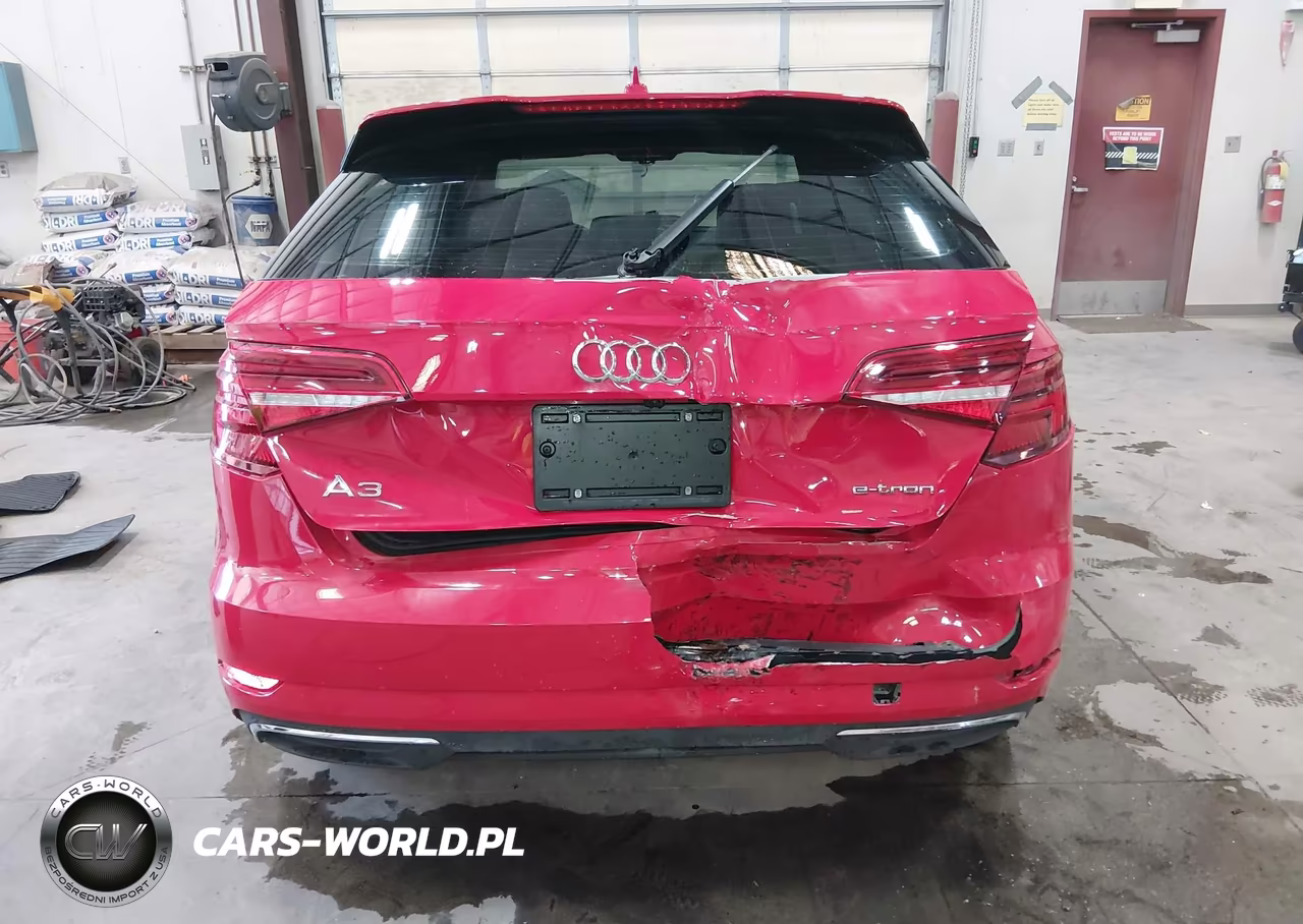 2018 Audi A3 E-Tron 1.4T Premium-1.4T Tech Premium VIN:WAUUPBFF9JA067824 - 16