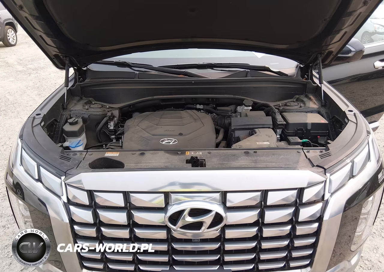 2023 Hyundai Palisade Calligraphy VIN:KM8R7DGE5PU498352 - 10