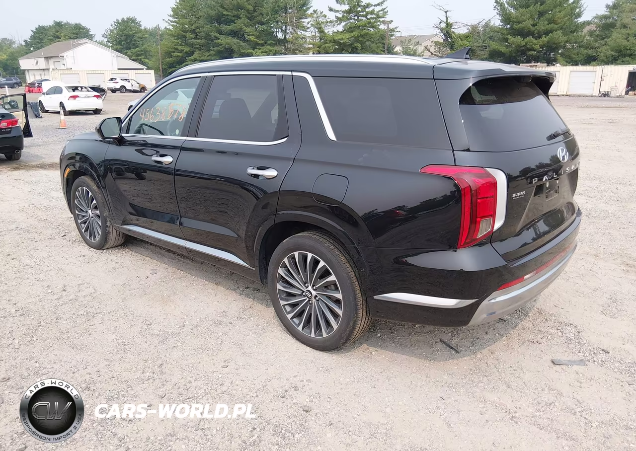 2023 Hyundai Palisade Calligraphy VIN:KM8R7DGE5PU498352 - 3