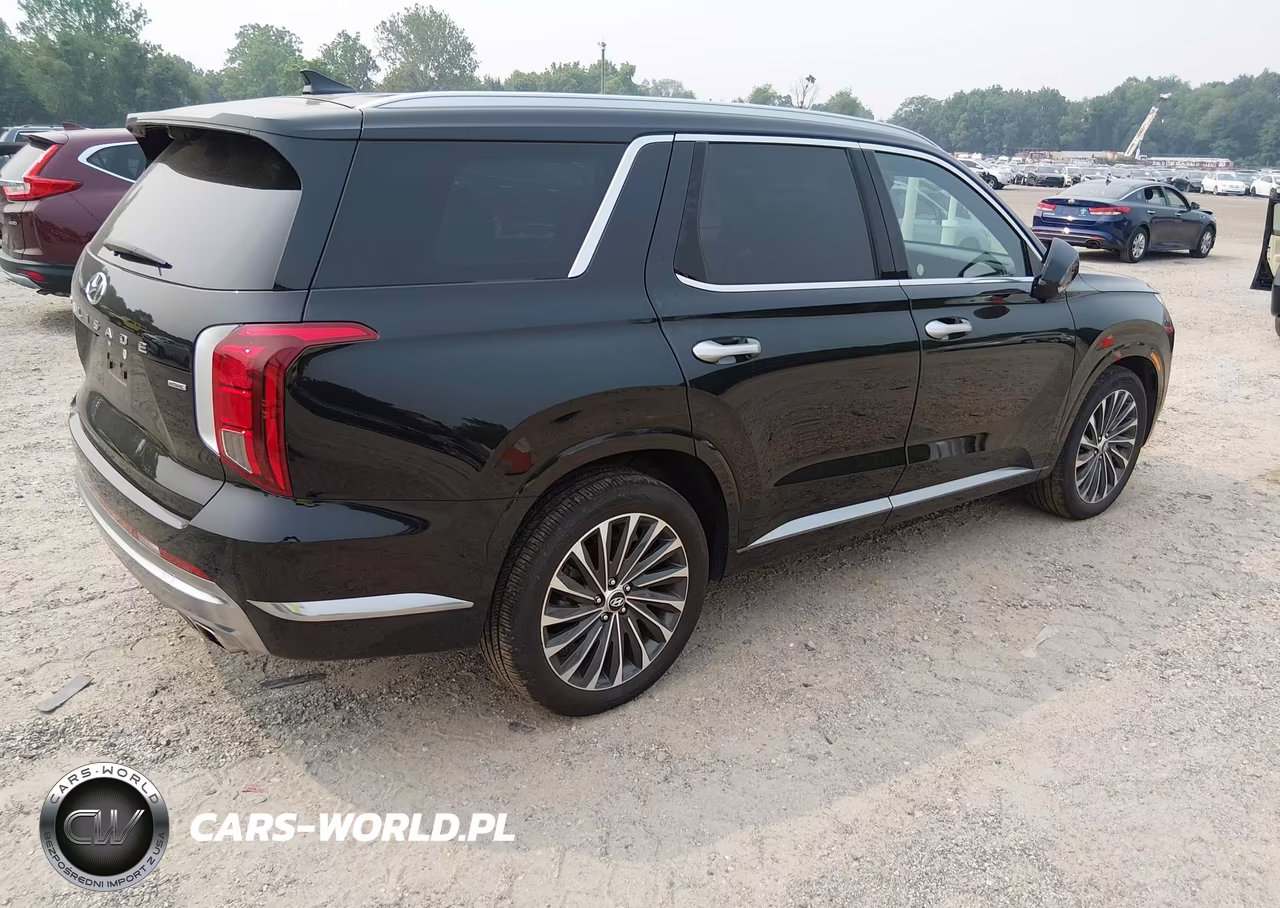 2023 Hyundai Palisade Calligraphy VIN:KM8R7DGE5PU498352 - 4