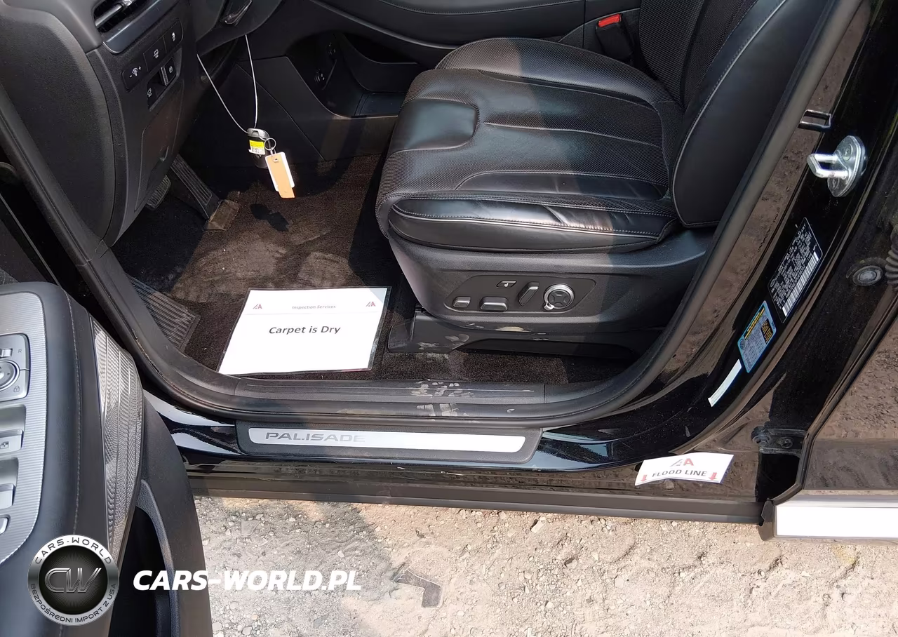 2023 Hyundai Palisade Calligraphy VIN:KM8R7DGE5PU498352 - 6