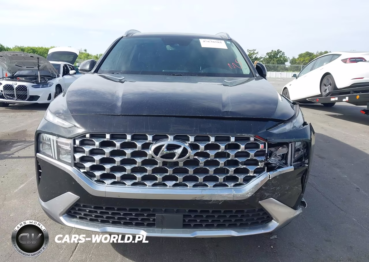 2023 Hyundai Santa Fe Sel VIN:5NMS3DAJ4PH645856 - 12