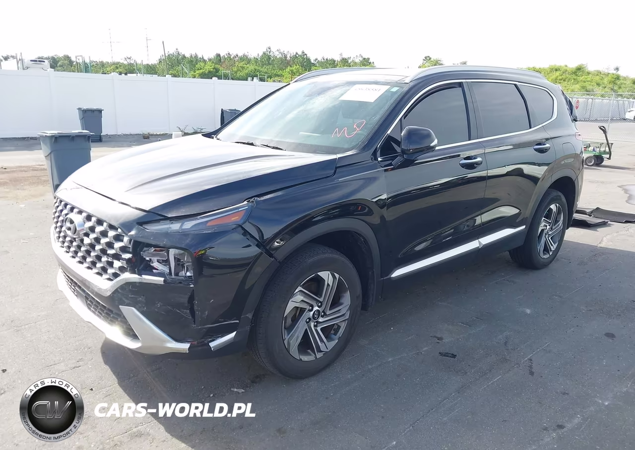 2023 Hyundai Santa Fe Sel VIN:5NMS3DAJ4PH645856 - 2