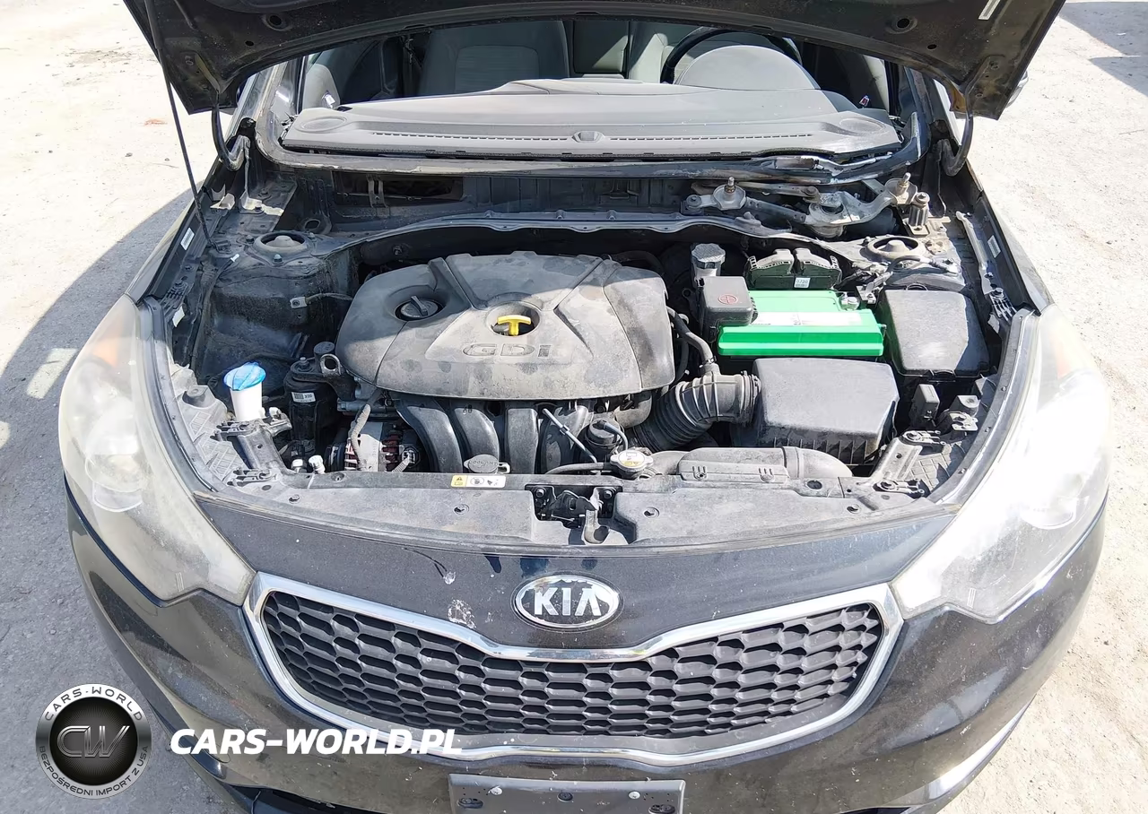 2014 Kia Forte Ex VIN:KNAFX4A84E5152162 - 10