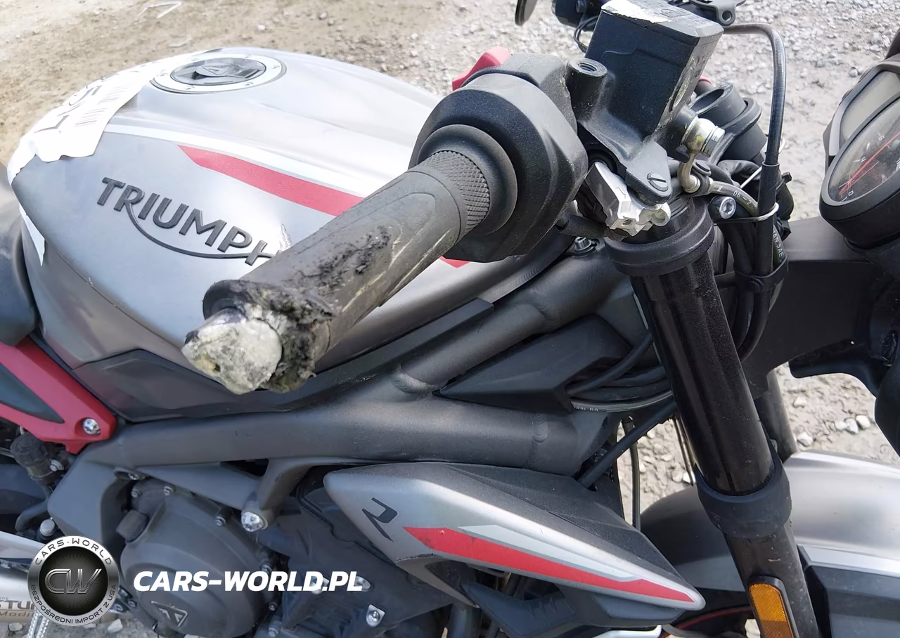 2021 Triumph Motorcycle Street Triple R (Lrh) VIN:SMTA544DXMTAF8258 - 14