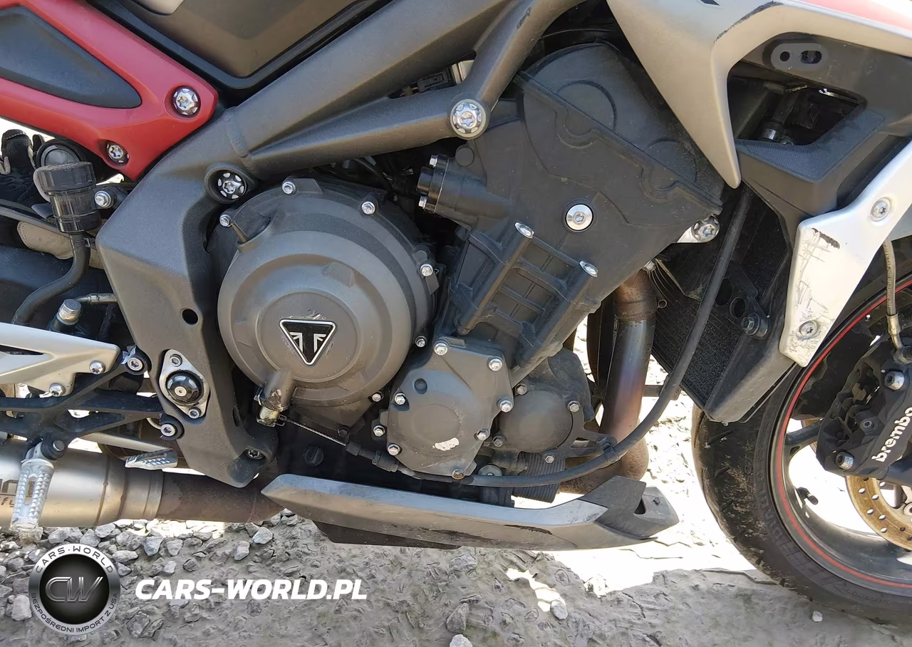 2021 Triumph Motorcycle Street Triple R (Lrh) VIN:SMTA544DXMTAF8258 - 8