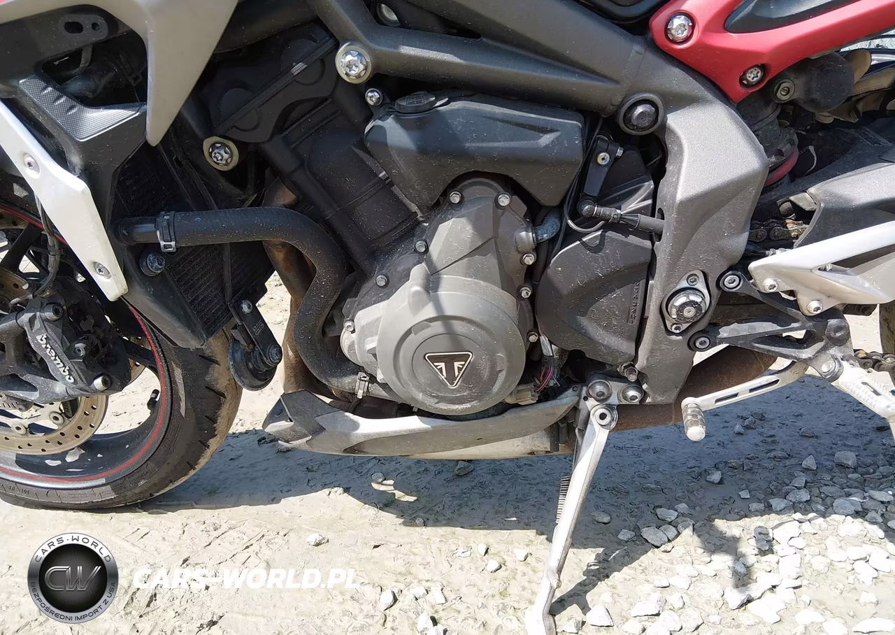 2021 Triumph Motorcycle Street Triple R (Lrh) VIN:SMTA544DXMTAF8258 - 9