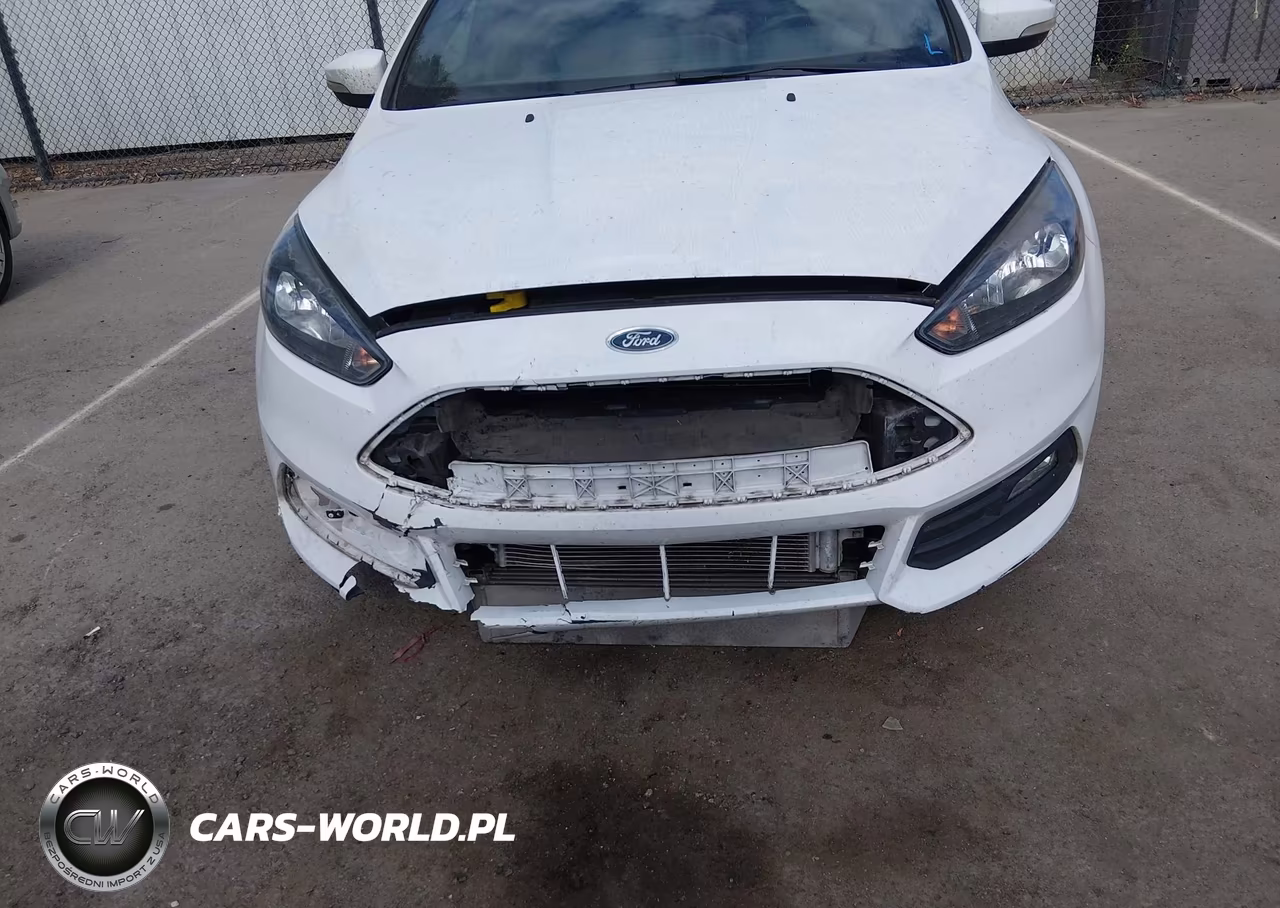 2017 Ford Focus St VIN:1FADP3L91HL290600 - 18