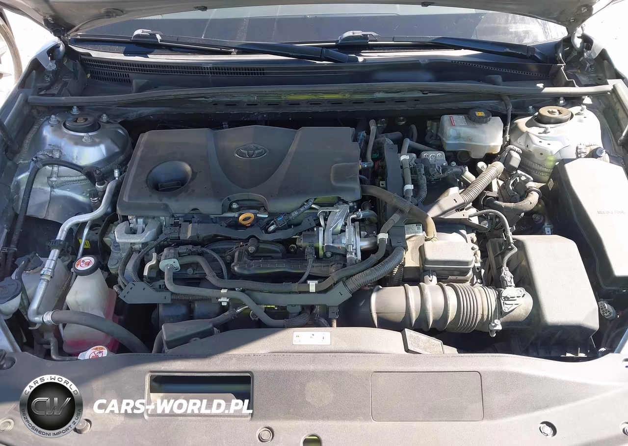 2020 Toyota Camry Se Hybrid VIN:4T1G31AK5LU012018 - 10