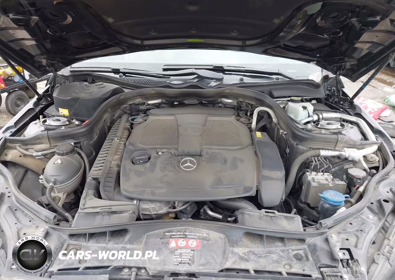 2016 Mercedes-Benz E 350 VIN:WDDHF5KB0GB290161 - 10