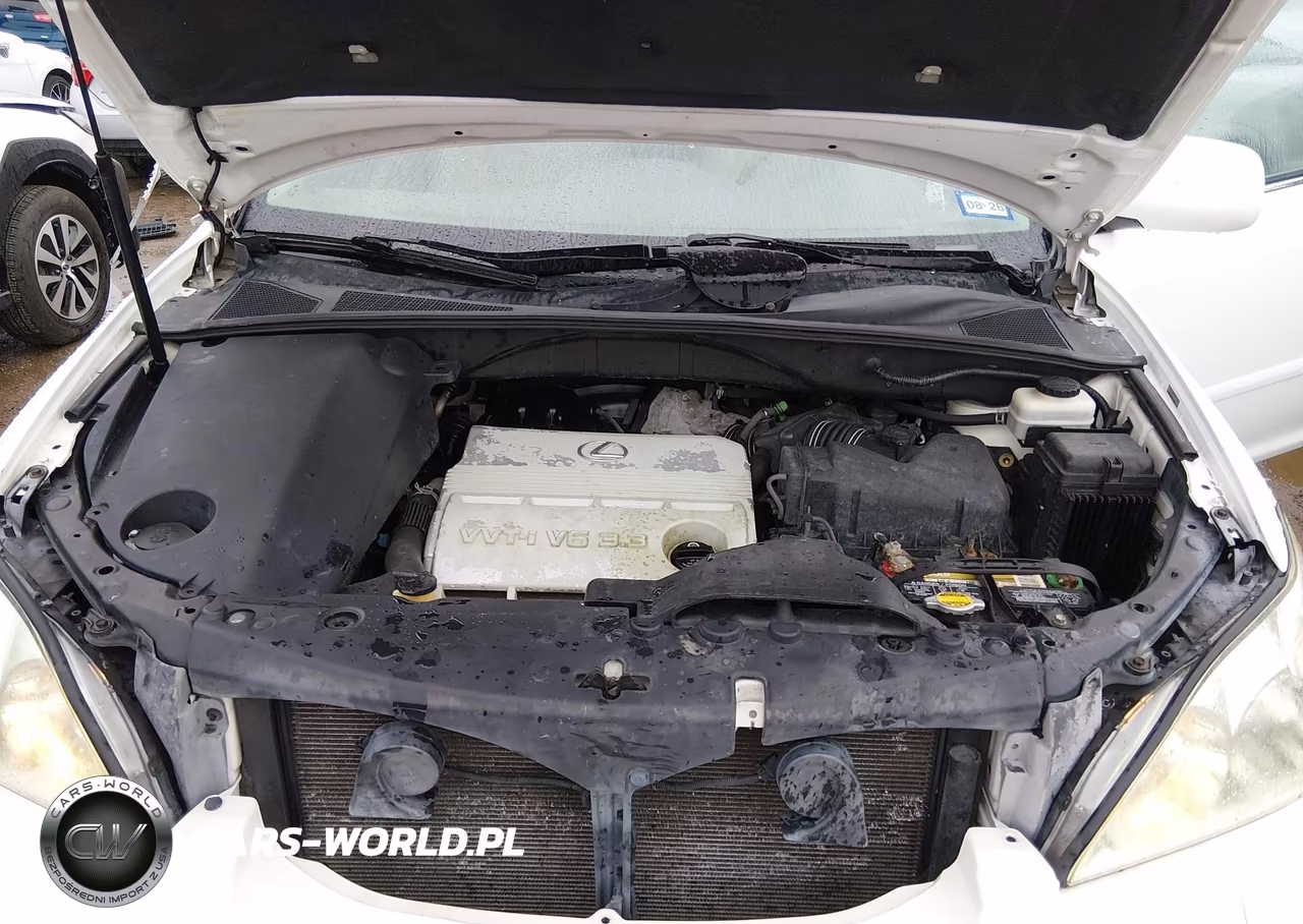 2004 Lexus Rx 330 VIN:2T2HA31U04C001918 - 10