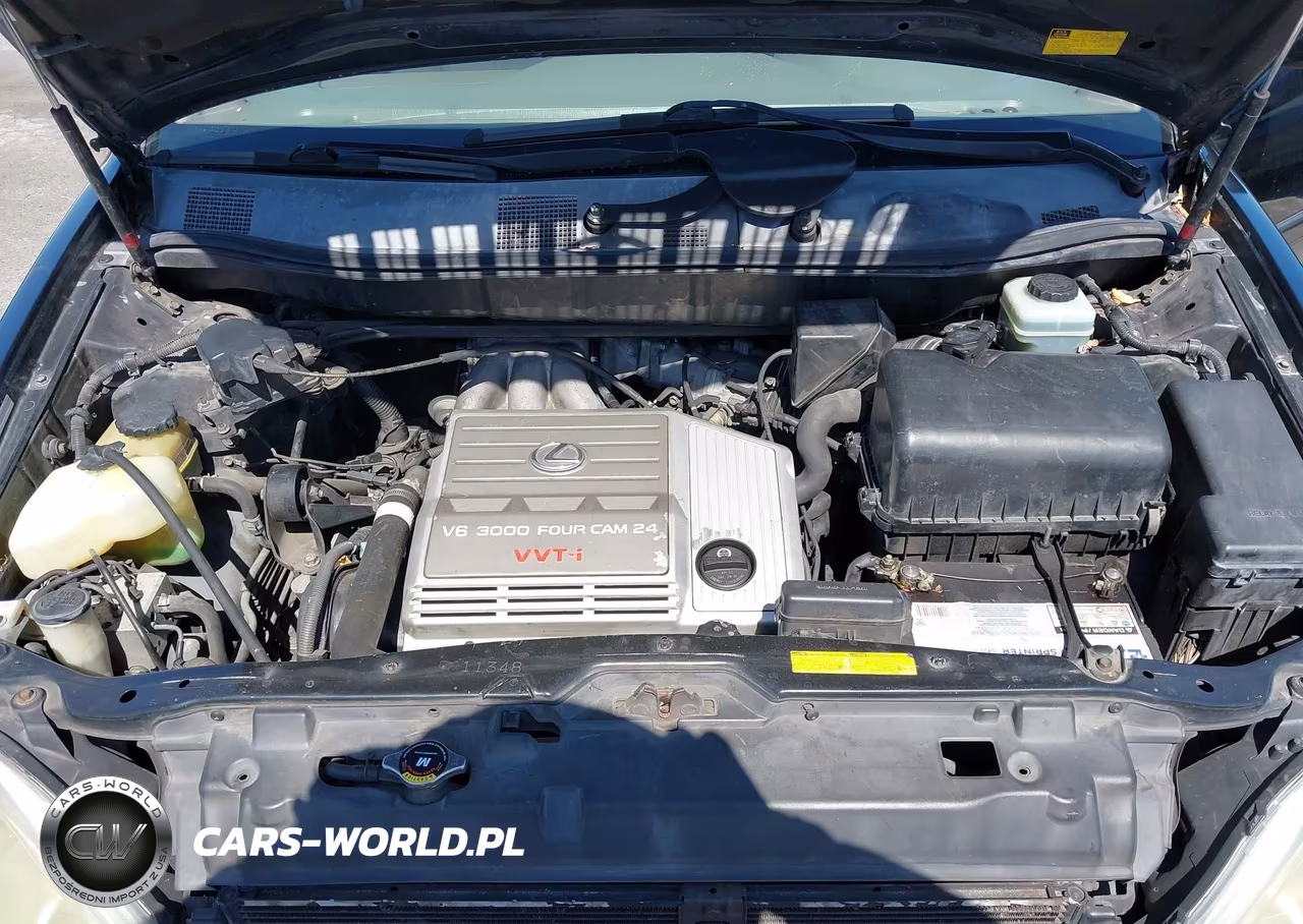 2001 Lexus Rx 300 VIN:JTJGF10U210115901 - 10