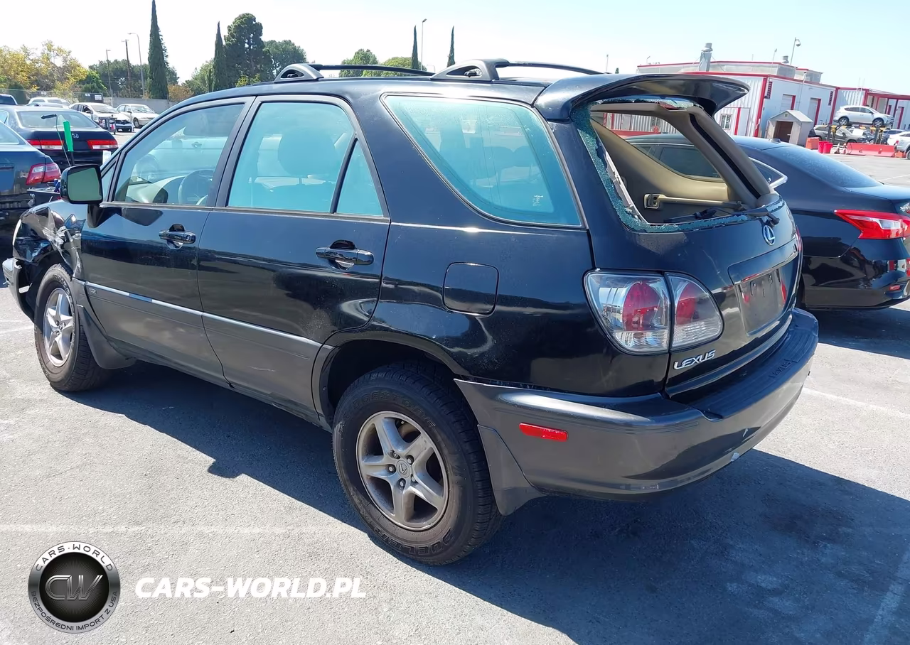 2001 Lexus Rx 300 VIN:JTJGF10U210115901 - 3