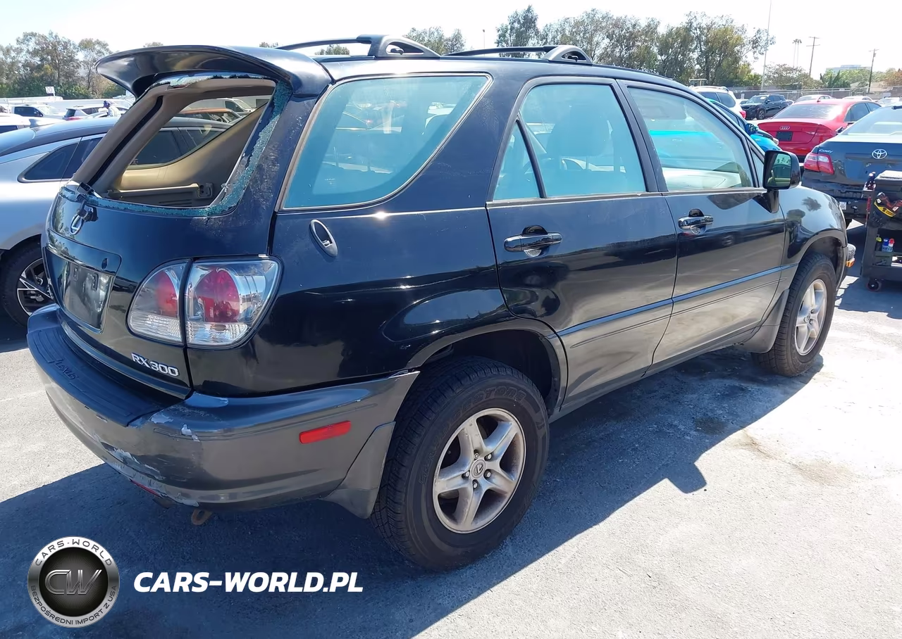 2001 Lexus Rx 300 VIN:JTJGF10U210115901 - 4
