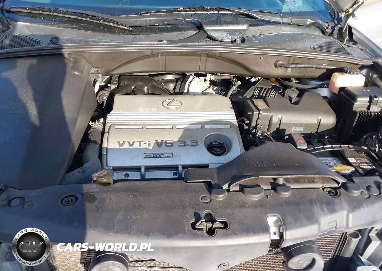 2004 Lexus Rx 330 VIN:2T2GA31U34C016487 - 10