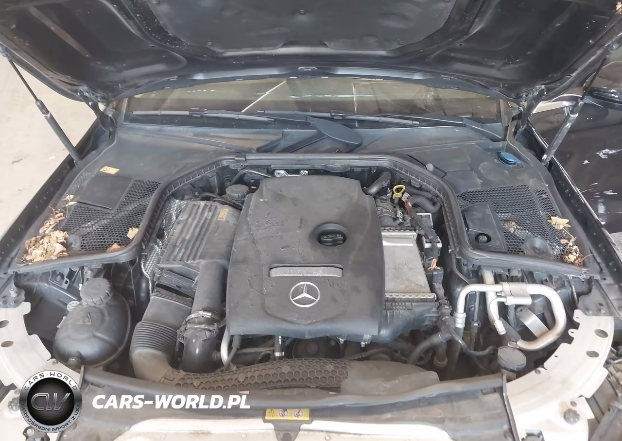 MERCEDES-BENZ C 300 4MAT VIN:55SWF4KB5GU098175 - 10