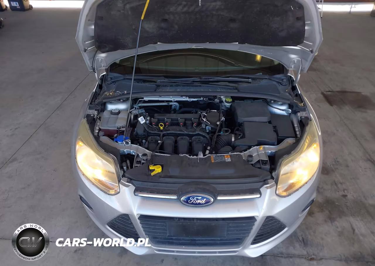 2014 Ford Focus Se VIN:1FADP3F26EL429386 - 10
