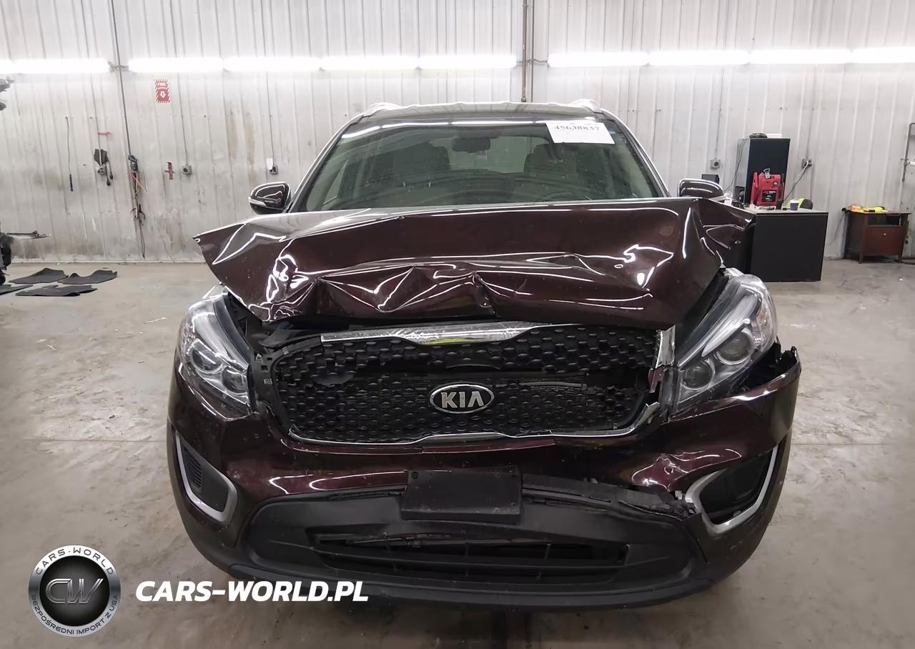 2016 Kia Sorento 2.4L Lx VIN:5XYPG4A35GG027094 - 11