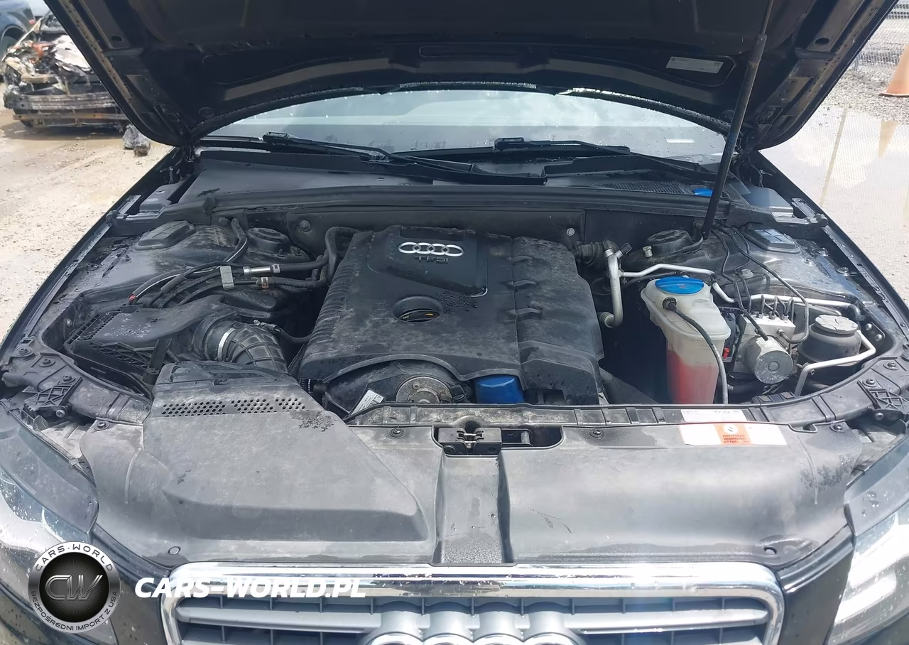 2010 Audi A4 2.0T Premium VIN:WAUFFAFL6AN050936 - 10