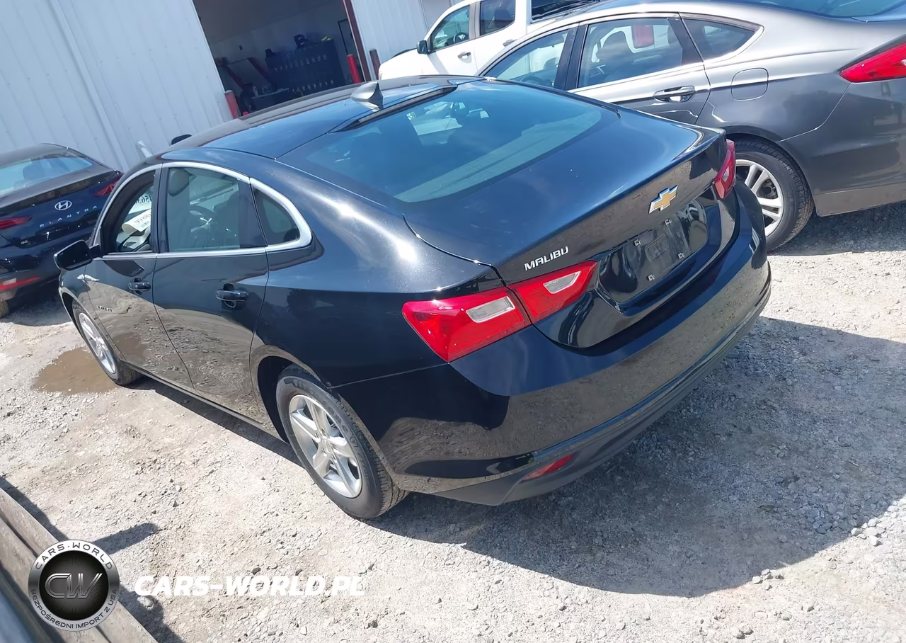 2020 Chevrolet Malibu Fwd 1Fl VIN:1G1ZC5ST2LF131296 - 3