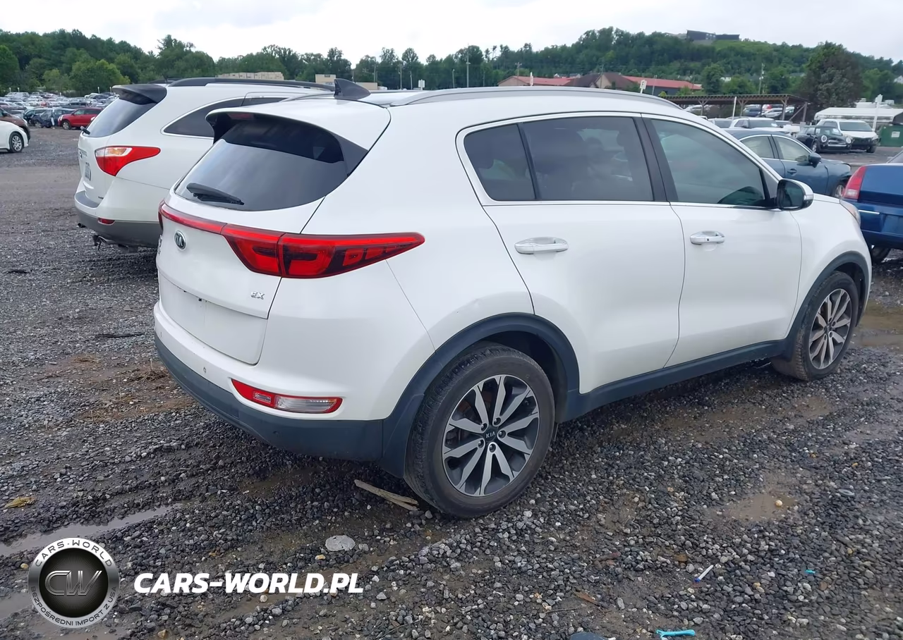2017 Kia Sportage Ex VIN:KNDPN3AC0H7227153 - 4