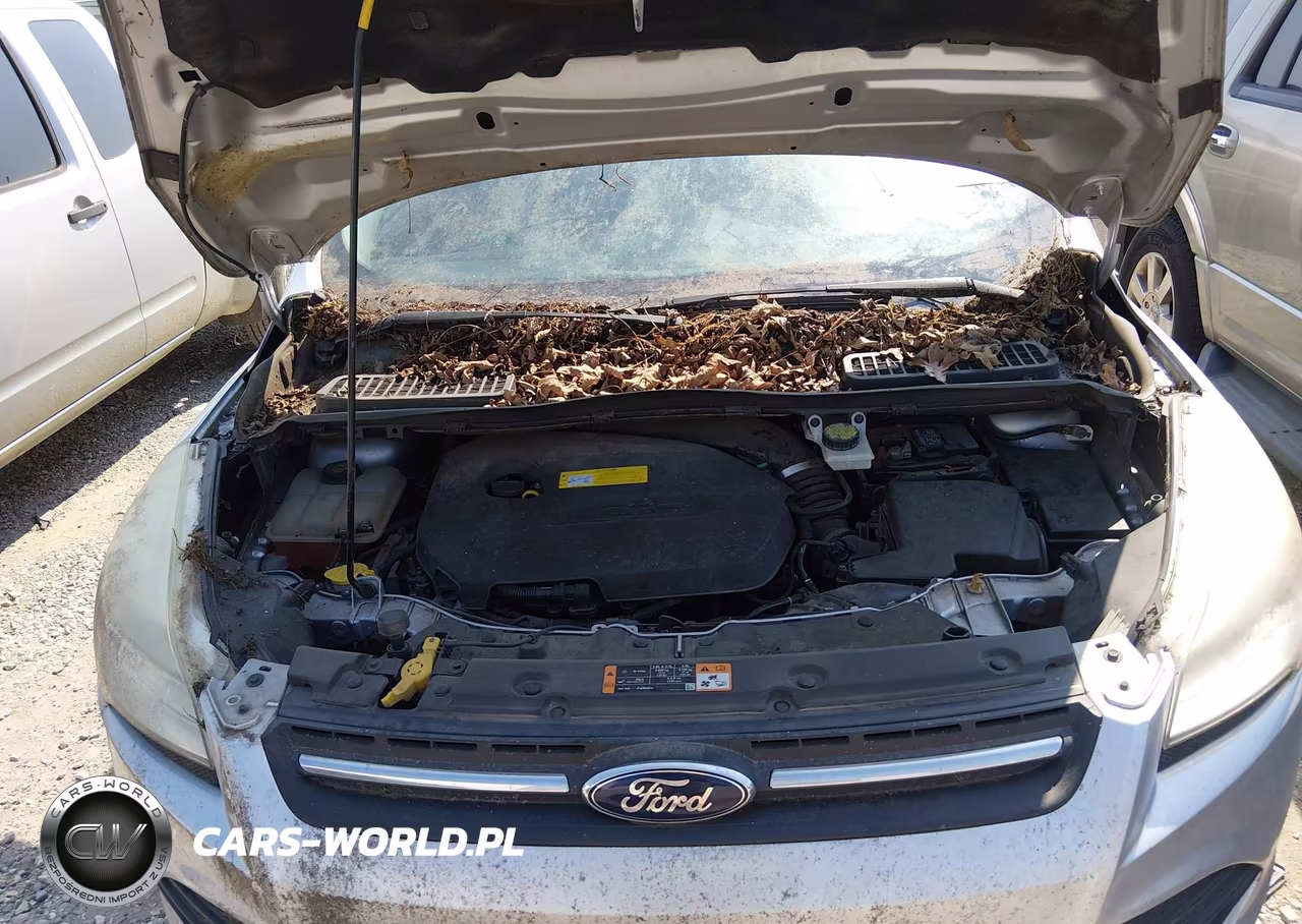 2015 Ford Escape Se VIN:1FMCU0GX2FUB42822 - 10