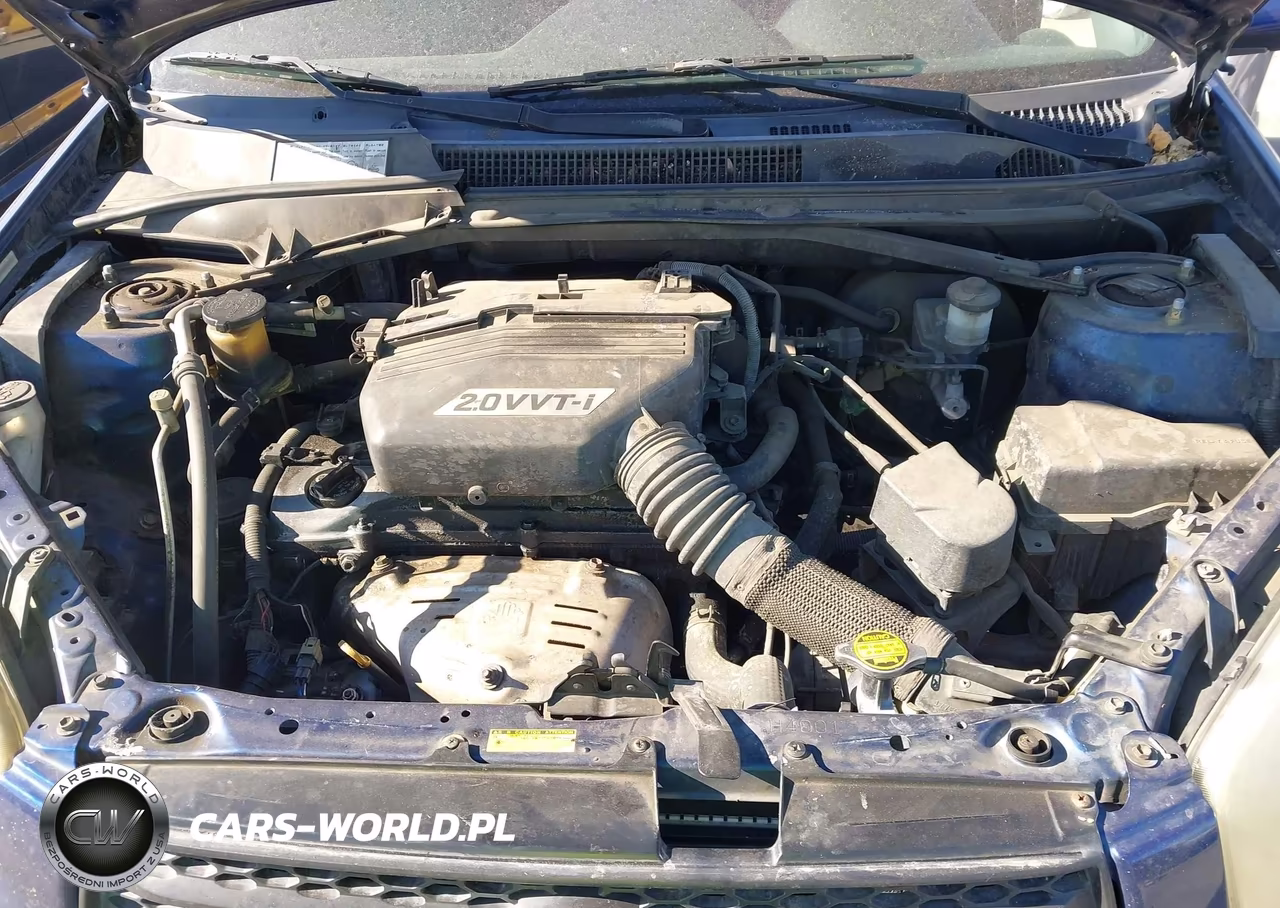 2002 Toyota Rav4 VIN:JTEGH20V420058786 - 10