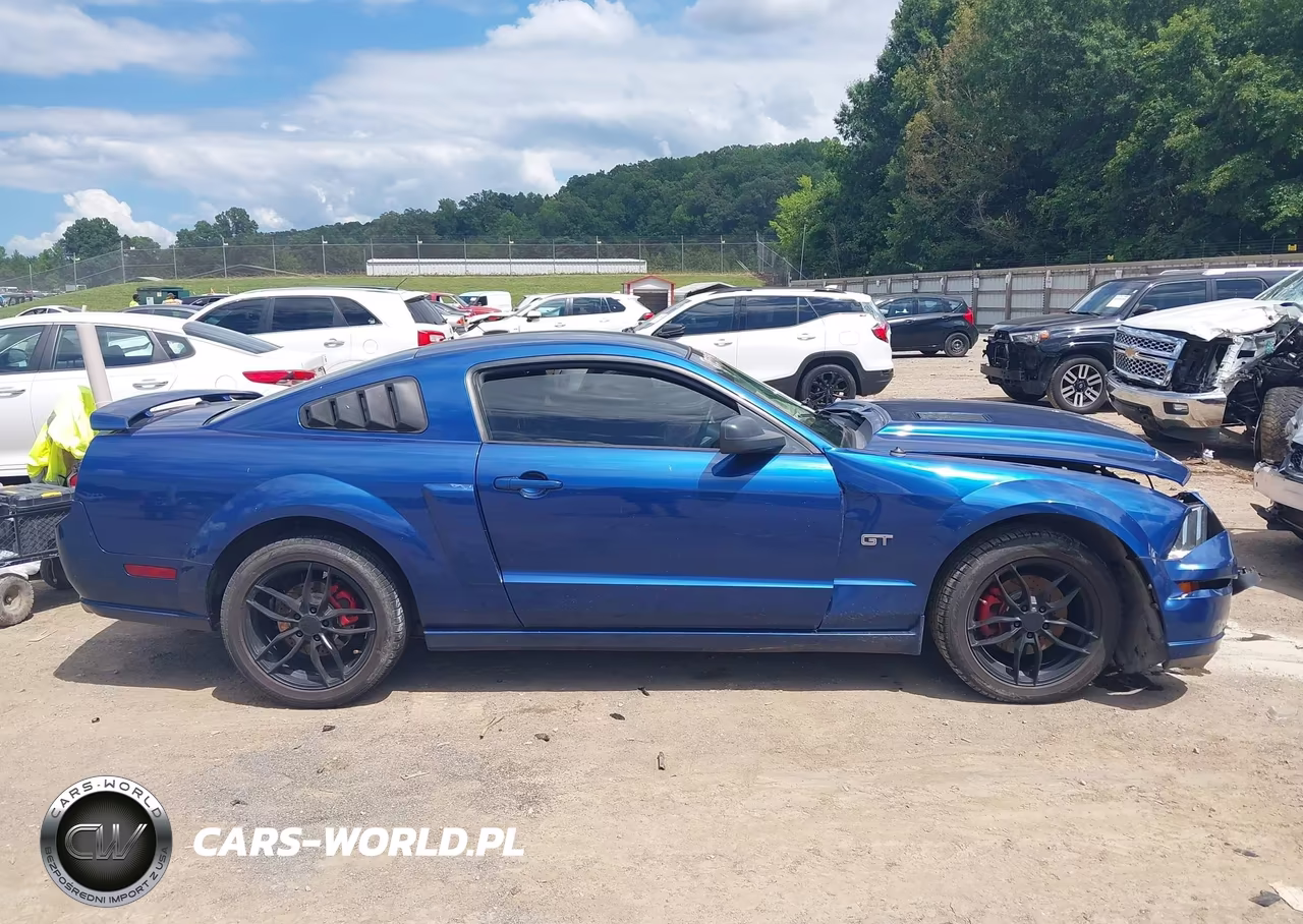 2007 Ford Mustang Gt Deluxe-Gt Premium VIN:1ZVFT82H875302438 - 13