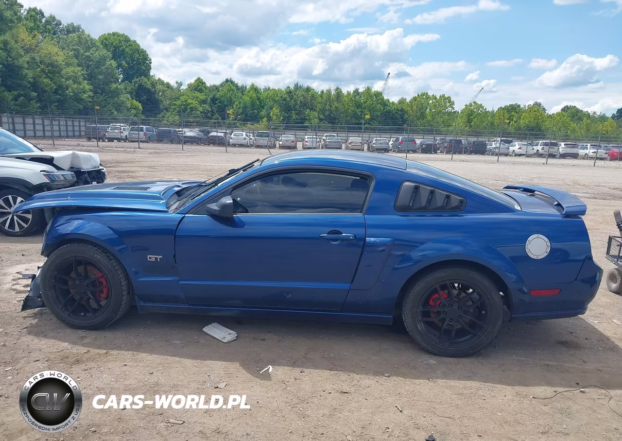 2007 Ford Mustang Gt Deluxe-Gt Premium VIN:1ZVFT82H875302438 - 14