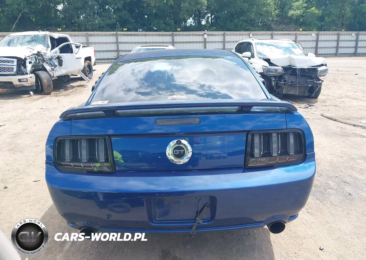 2007 Ford Mustang Gt Deluxe-Gt Premium VIN:1ZVFT82H875302438 - 16