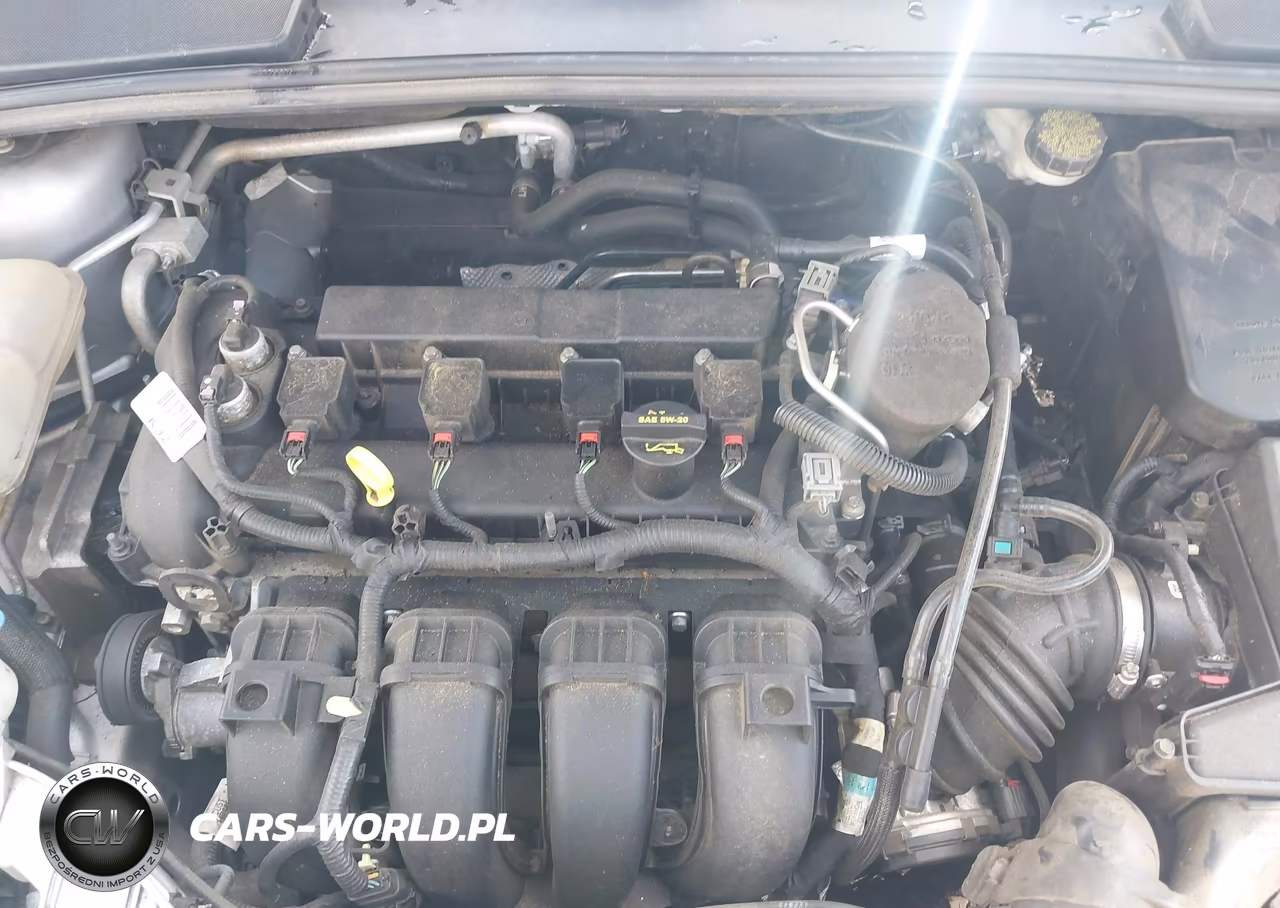 2013 Ford Focus Titanium VIN:1FADP3N24DL159090 - 10