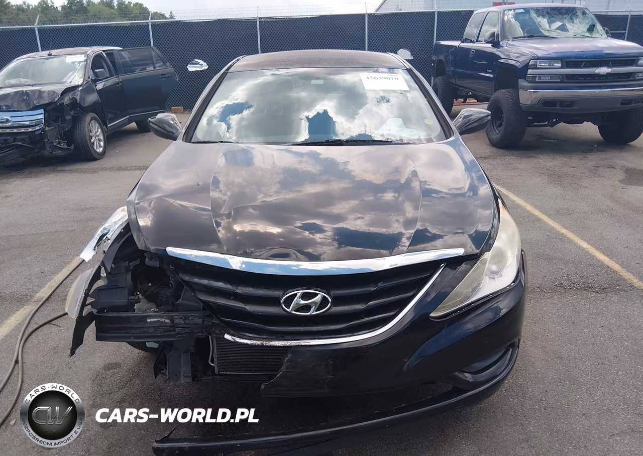 2013 Hyundai Sonata Gls VIN:5NPEB4AC1DH556603 - 12