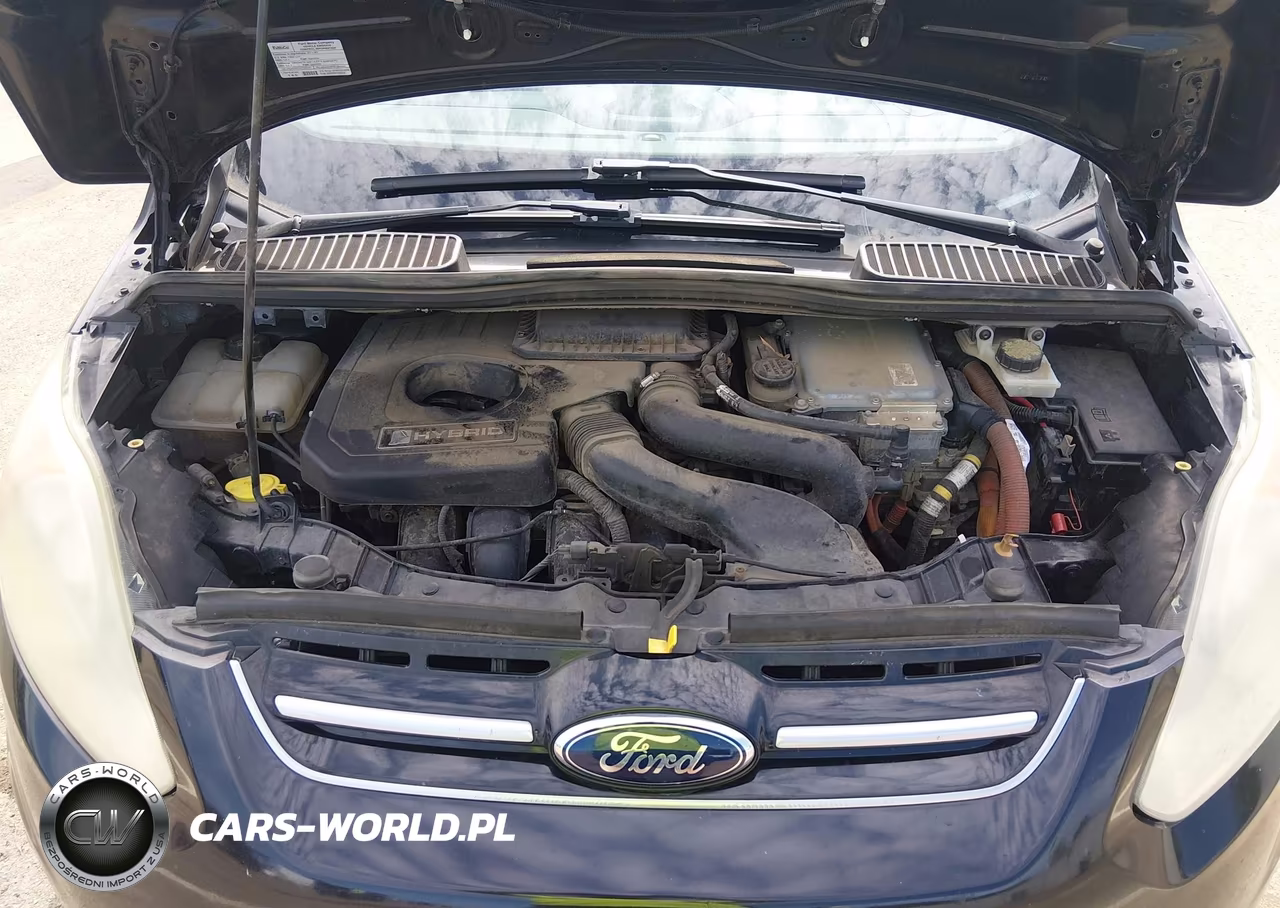 2014 Ford C-Max Hybrid Sel VIN:1FADP5BUXEL503623 - 10