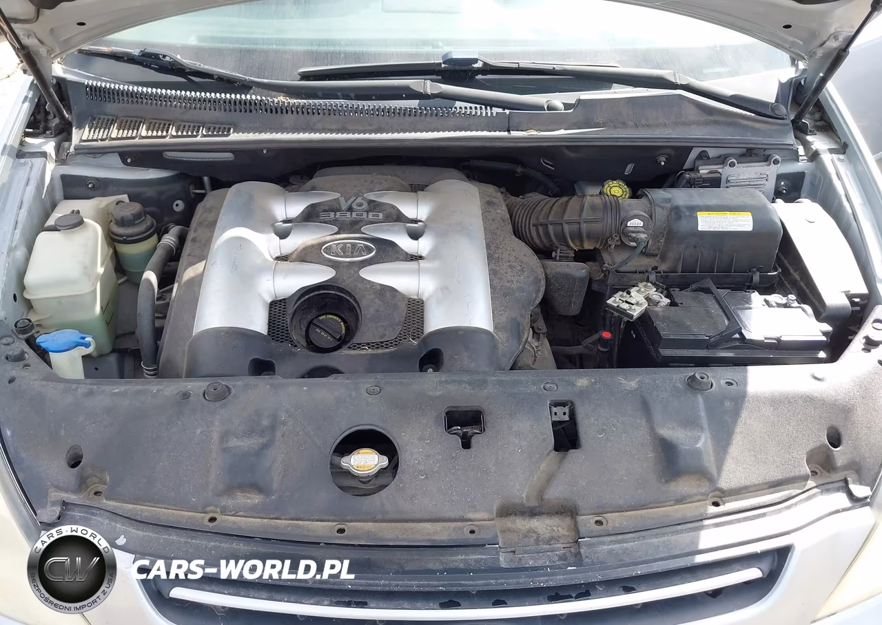 2006 Kia Sedona Ex-Lx VIN:KNDMB233666041266 - 10