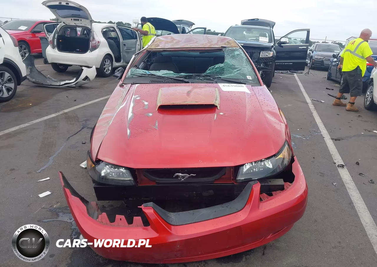 2002 Ford Mustang Gt Deluxe-Gt Premium VIN:1FAFP42X12F185723 - 12