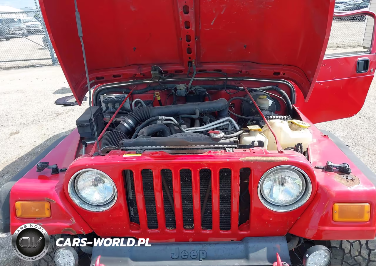2004 Jeep Wrangler Unlimited VIN:1J4FA49S04P754171 - 10