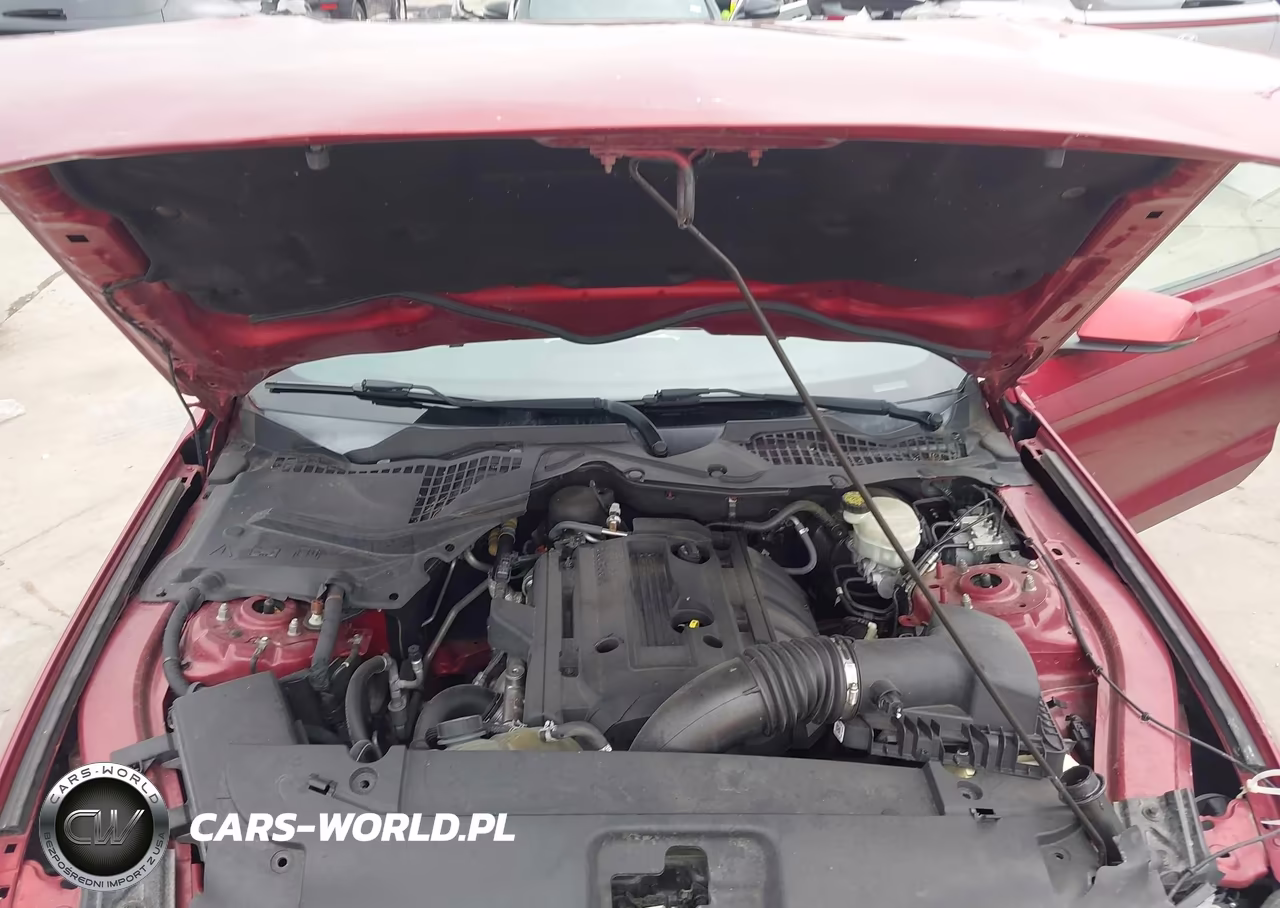 2017 Ford Mustang Ecoboost VIN:1FA6P8TH5H5282016 - 10