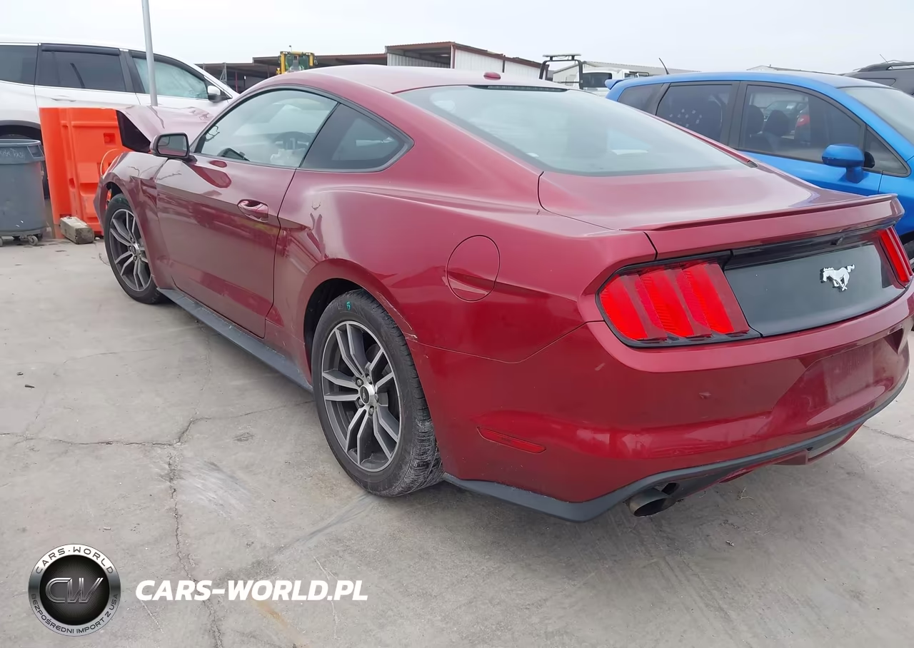 2017 Ford Mustang Ecoboost VIN:1FA6P8TH5H5282016 - 3
