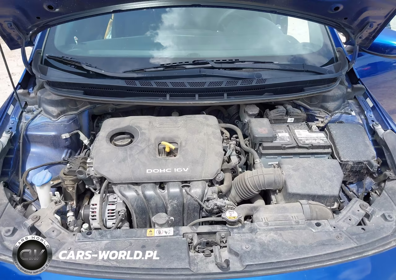 2017 Kia Forte Lx VIN:3KPFL4A7XHE015662 - 10
