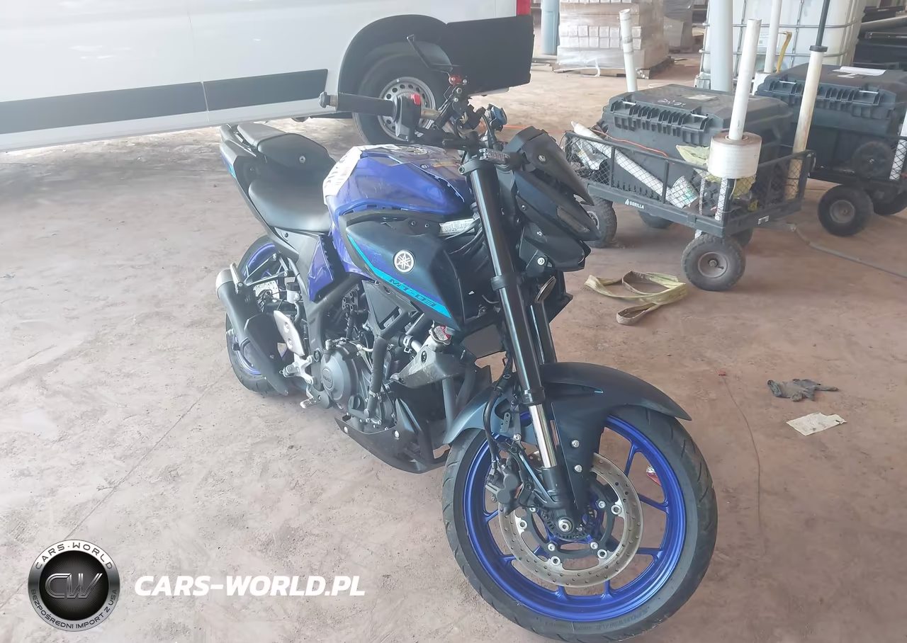 2025 Yamaha Mtn320 A