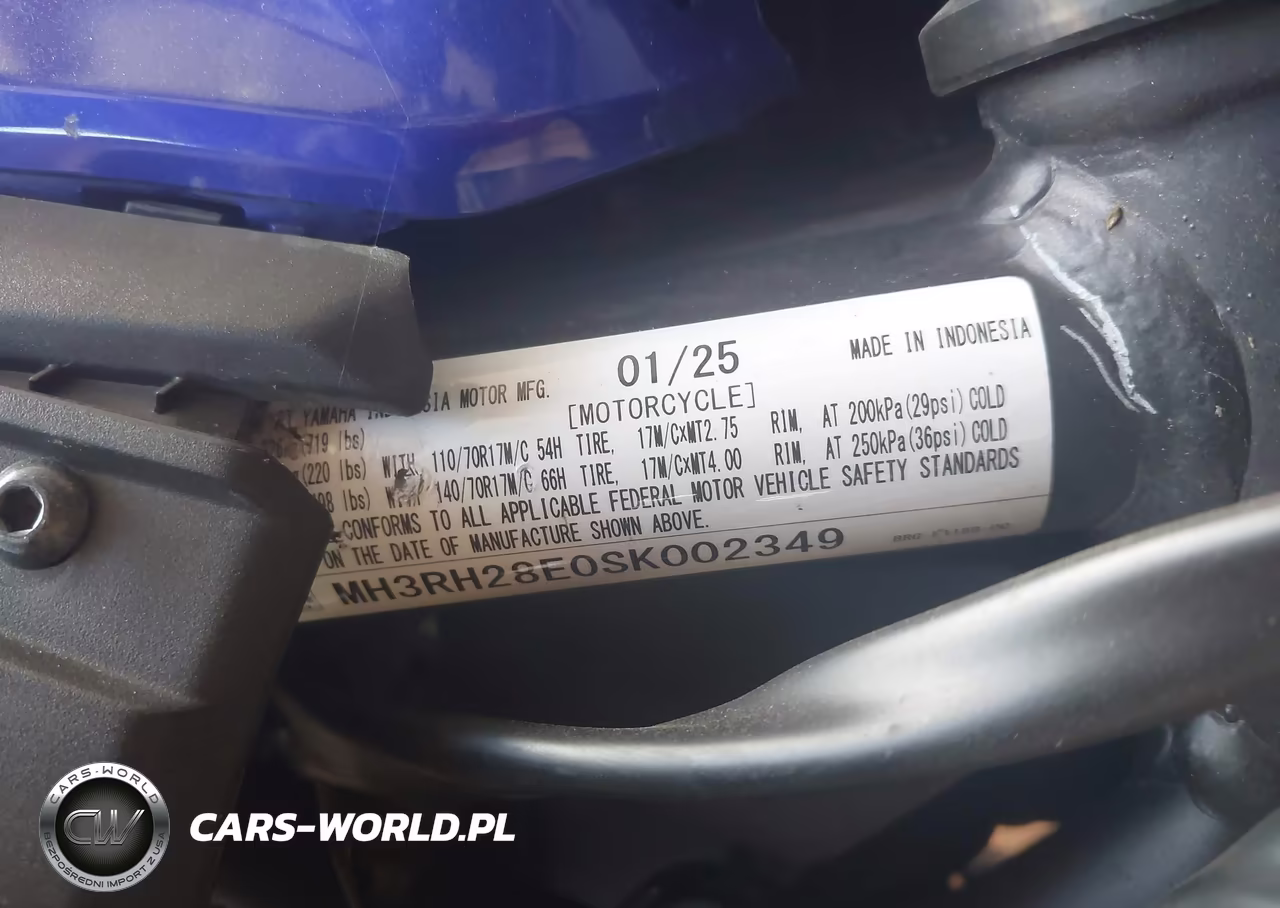 2025 Yamaha Mtn320 A VIN:MH3RH28E0SK002349 - 10