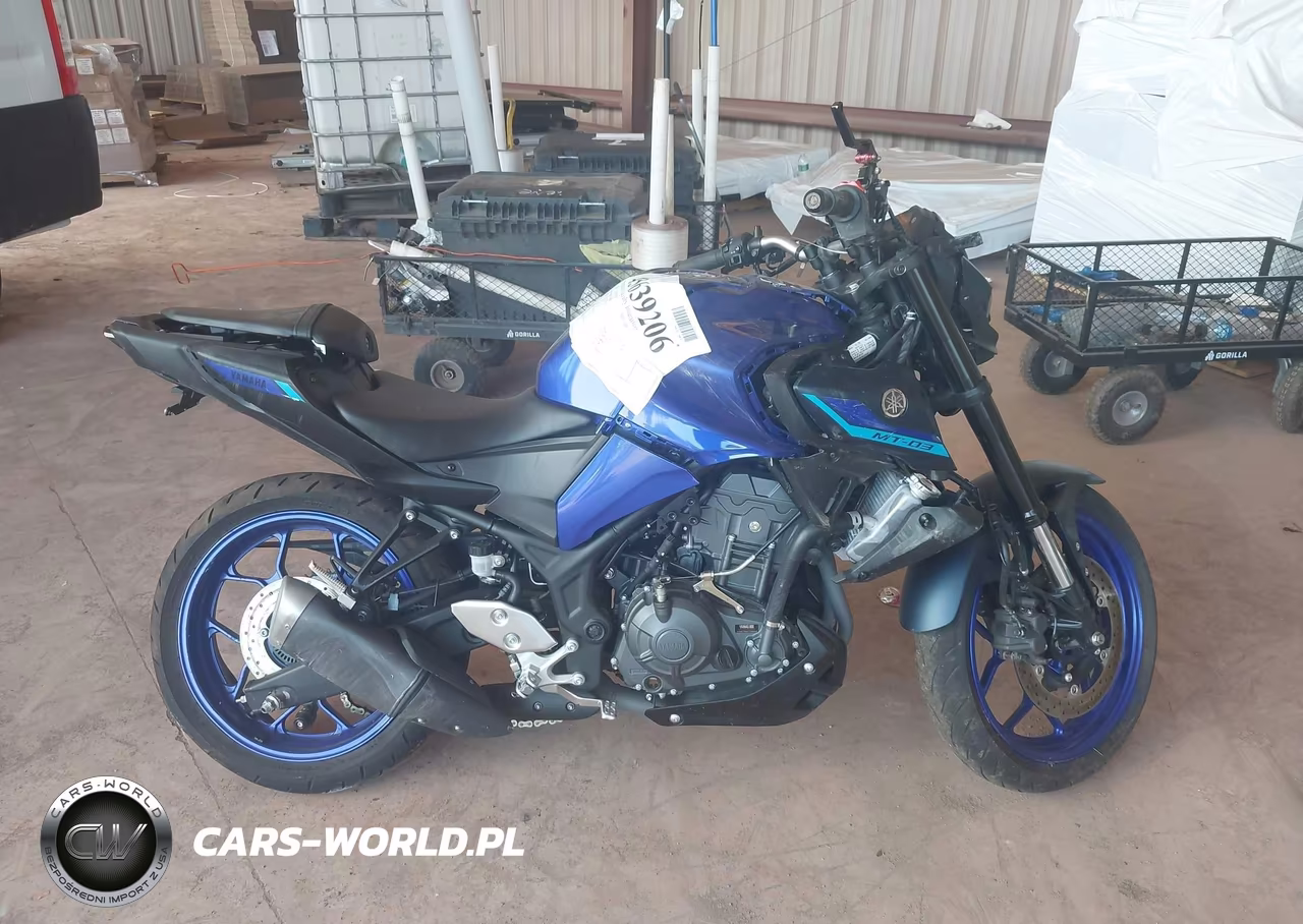 2025 Yamaha Mtn320 A VIN:MH3RH28E0SK002349 - 12
