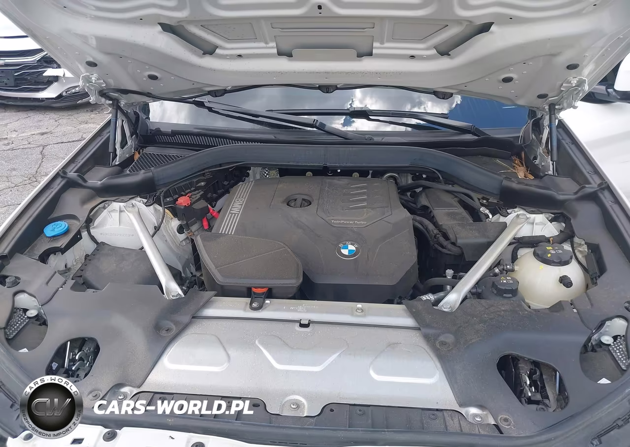 2023 BMW X4 xDrive30I VIN:5UX33DT03P9S03038 - 10