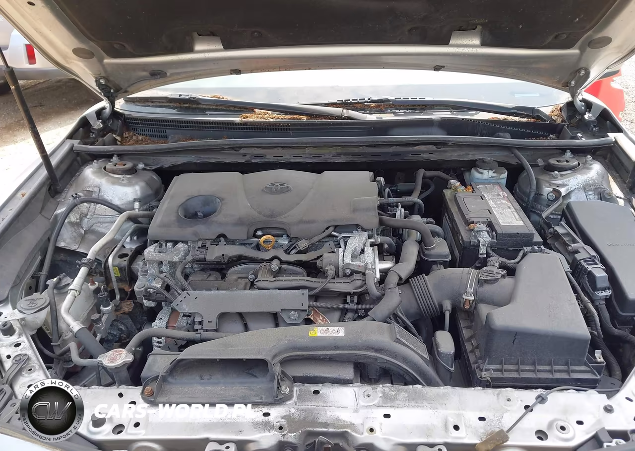 2019 Toyota Camry Le VIN:4T1B11HK9KU238809 - 10
