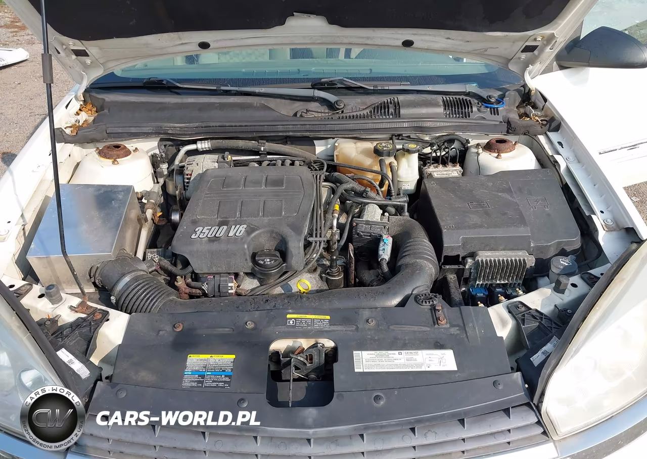 2005 Chevrolet Malibu Maxx Ls VIN:1G1ZT62865F207879 - 10